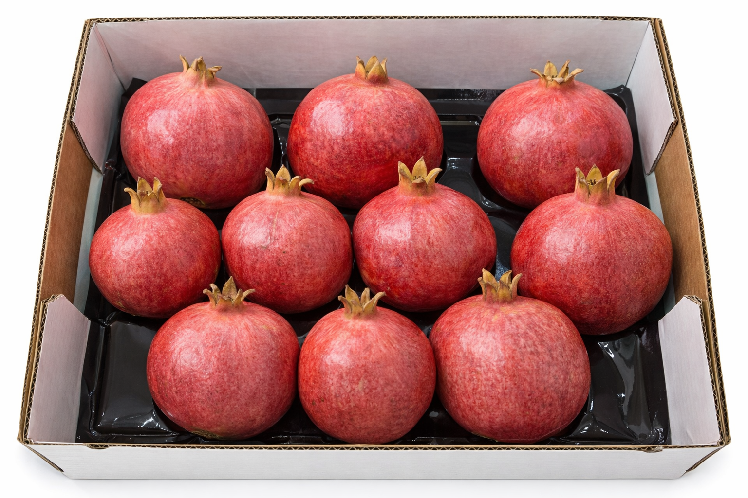 How GT Enterprise Ensures World-Class Quality in Every Shipment