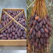 Premium Medjool Dates