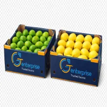 Premium Lemon and Lime  from Egypt